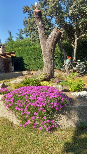 Jardín